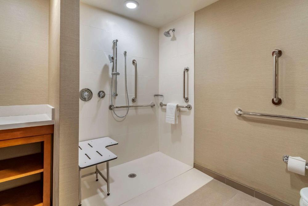 King Suite with Roll-In Shower and Sofa Bed - Accessible/Non Smoking interior